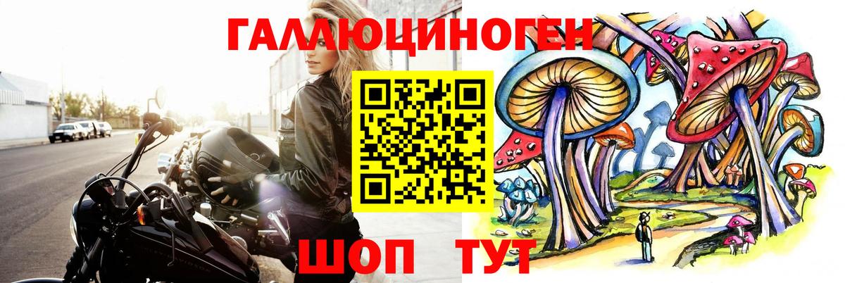 как найти закладки  Вход с VPN  Альметьевск  Галлюциногенные грибы Psilocybe 